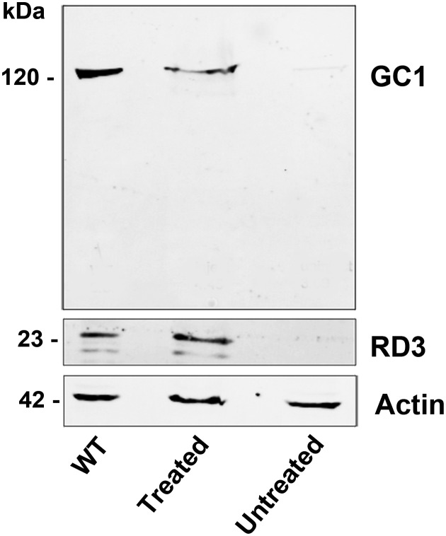 Figure 1.