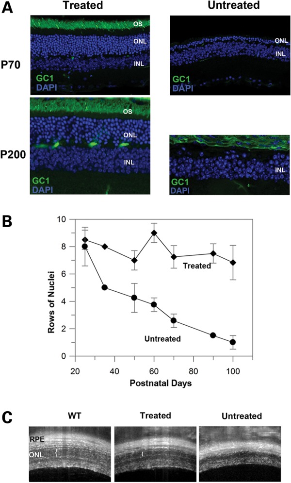 Figure 3.