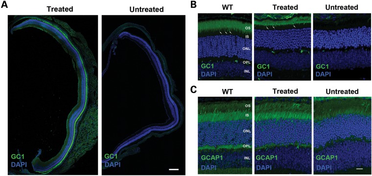 Figure 2.