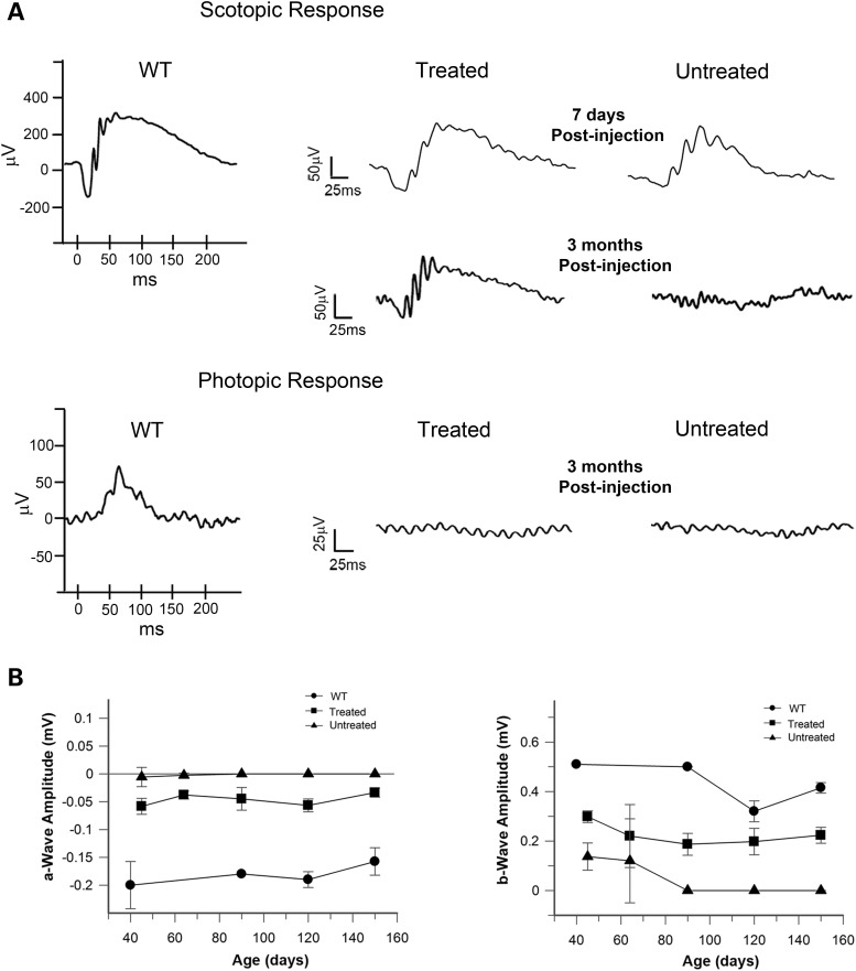 Figure 5.