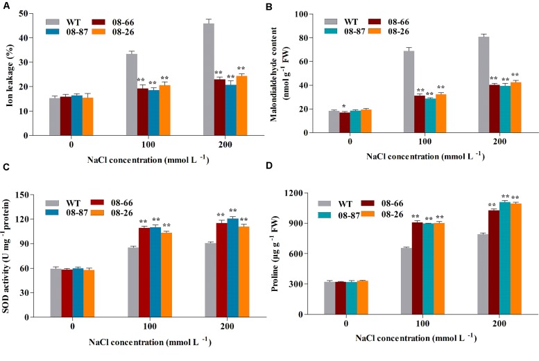 FIGURE 3