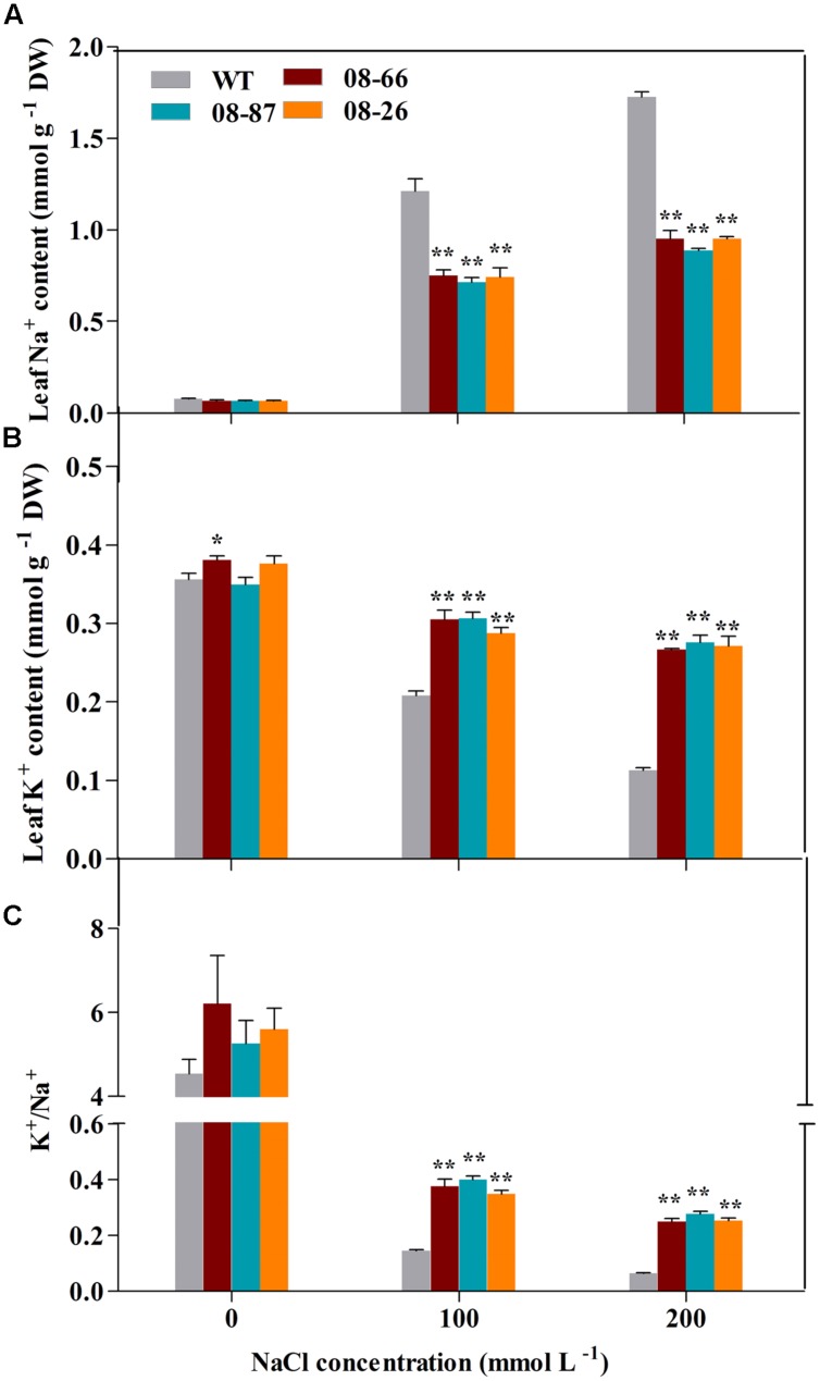 FIGURE 4