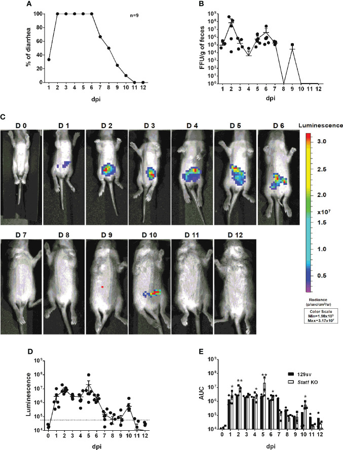 Figure 6