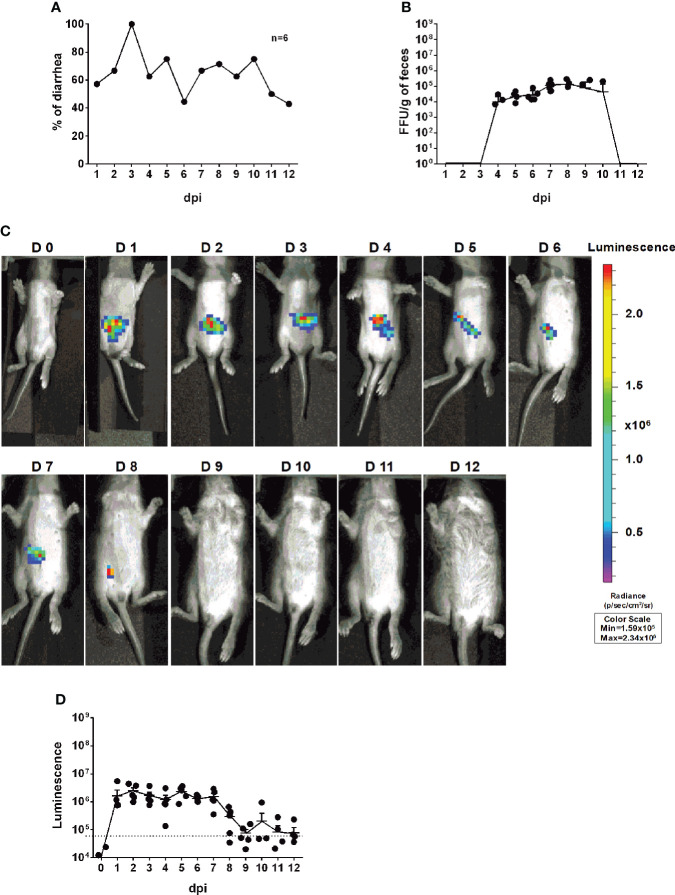 Figure 4