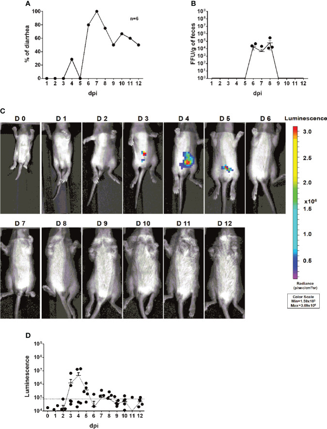 Figure 5