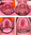 Fig 4