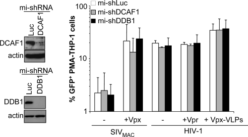 FIG. 7.