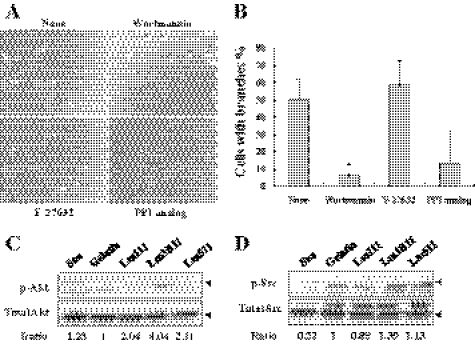 FIGURE 10.