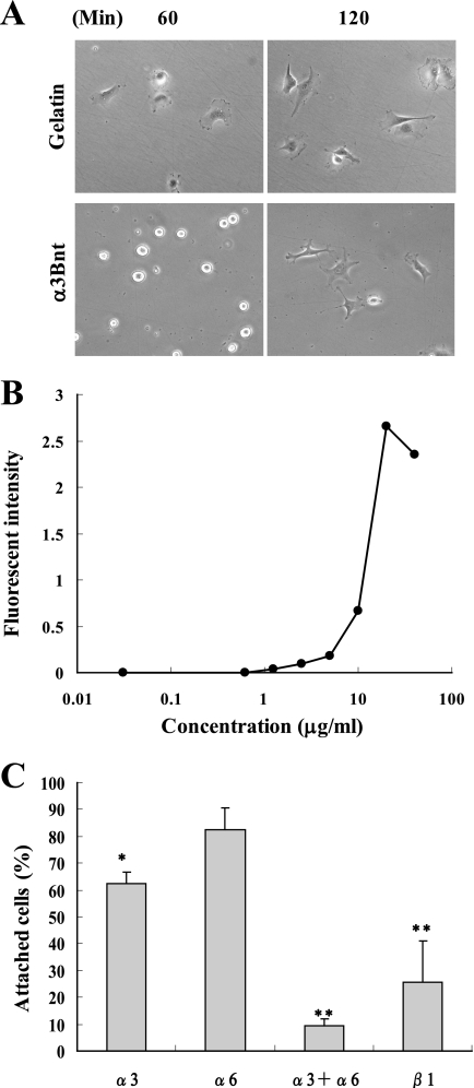 FIGURE 9.