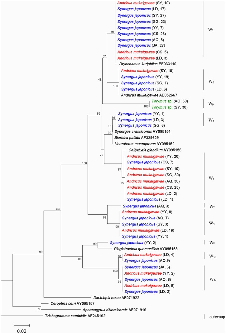 Figure 2