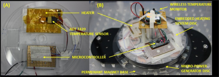 Fig 5