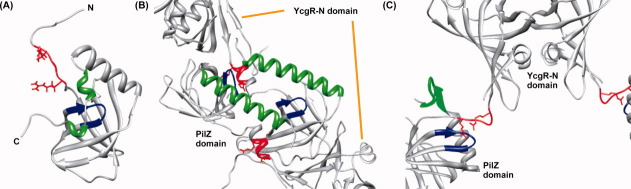 Figure. 6