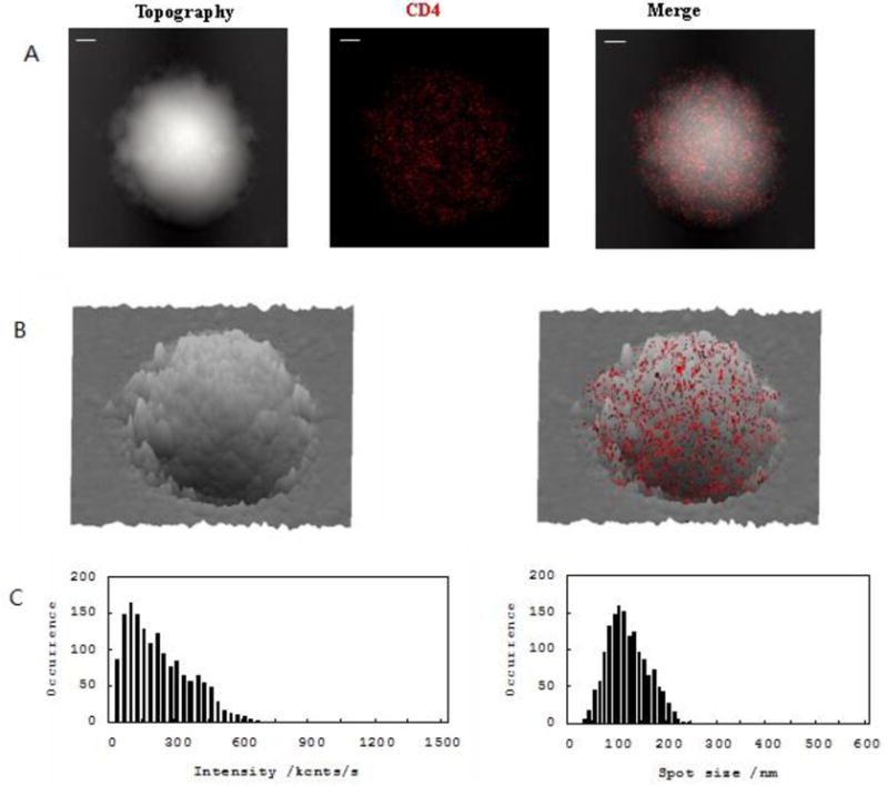 Fig.1