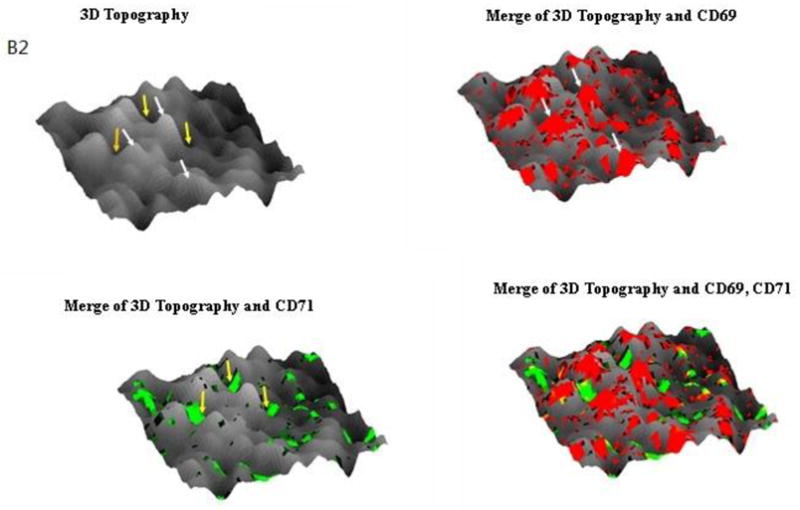 Fig.3