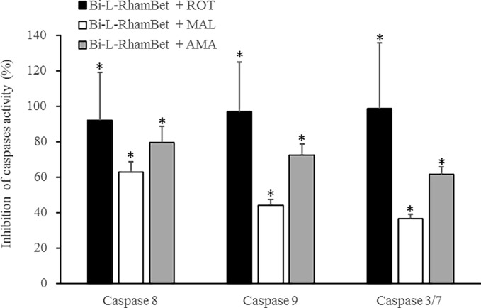 Fig 10