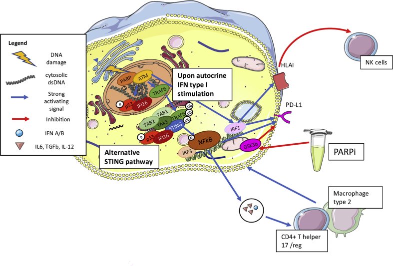 Figure 3