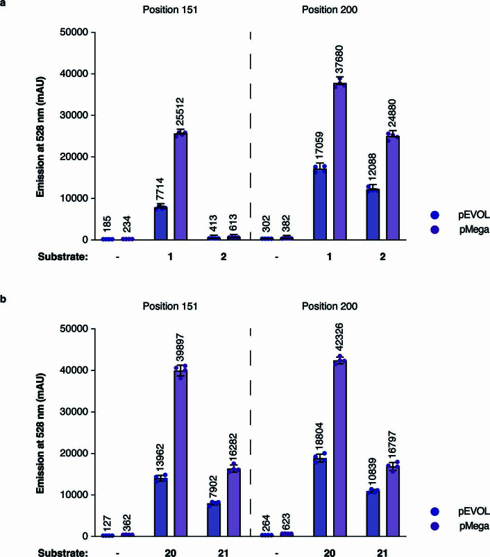 Extended Data Fig. 6