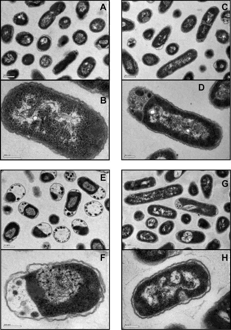 FIG 5