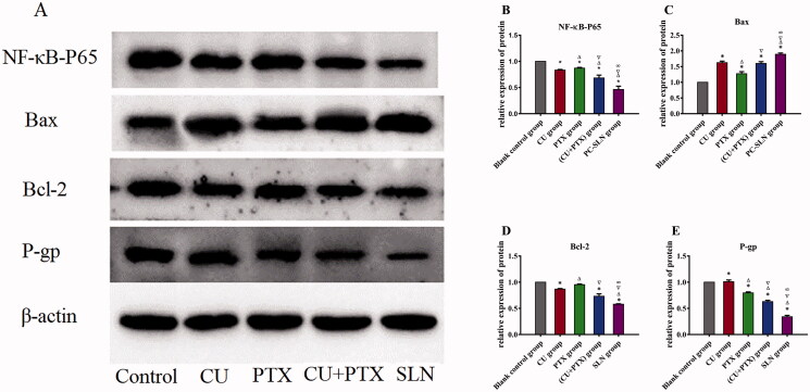 Figure 5.