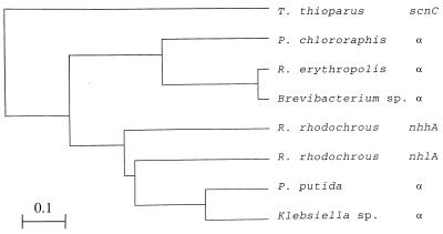 FIG. 6