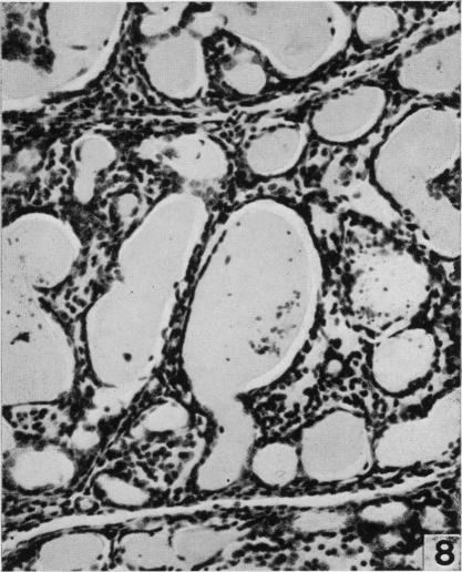 Fig. 8