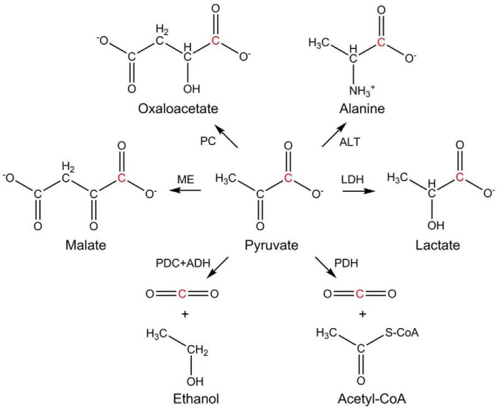 Scheme 1.