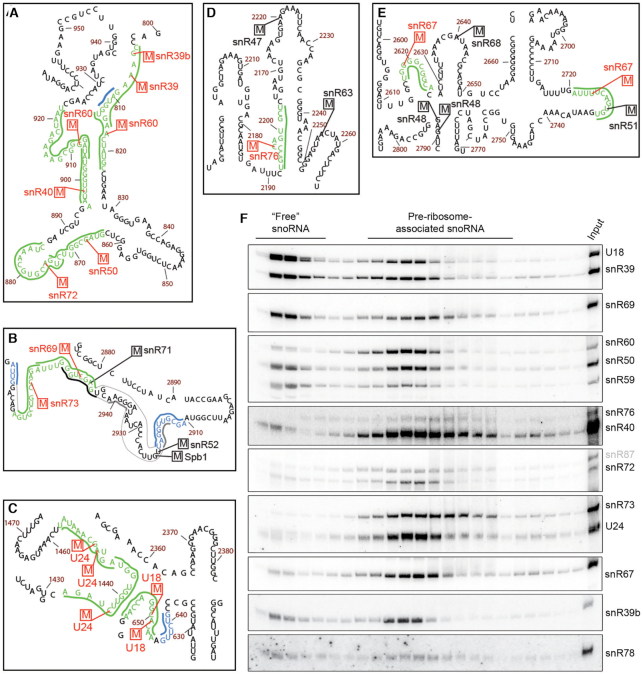 Figure 6.