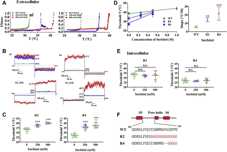 Figure 3