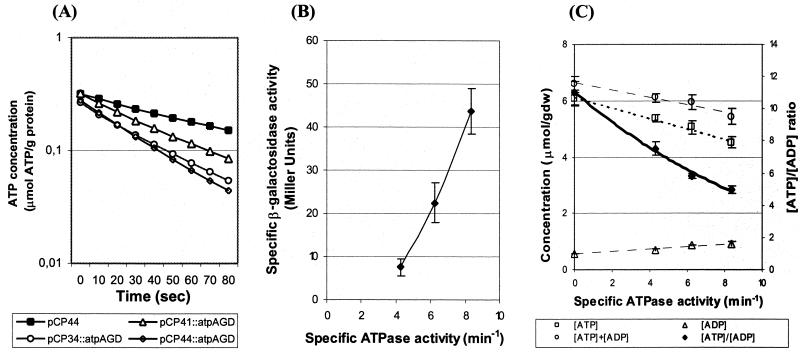 FIG. 2.