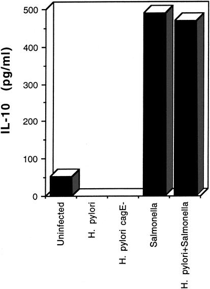 FIG. 5.