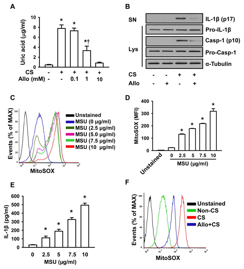 FIGURE 6