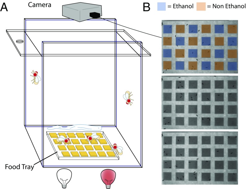 Fig. 4.