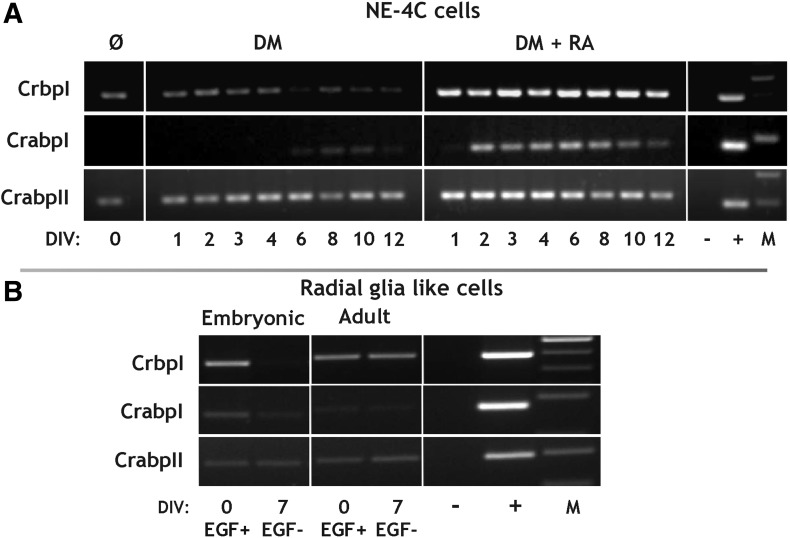 FIG. 6.