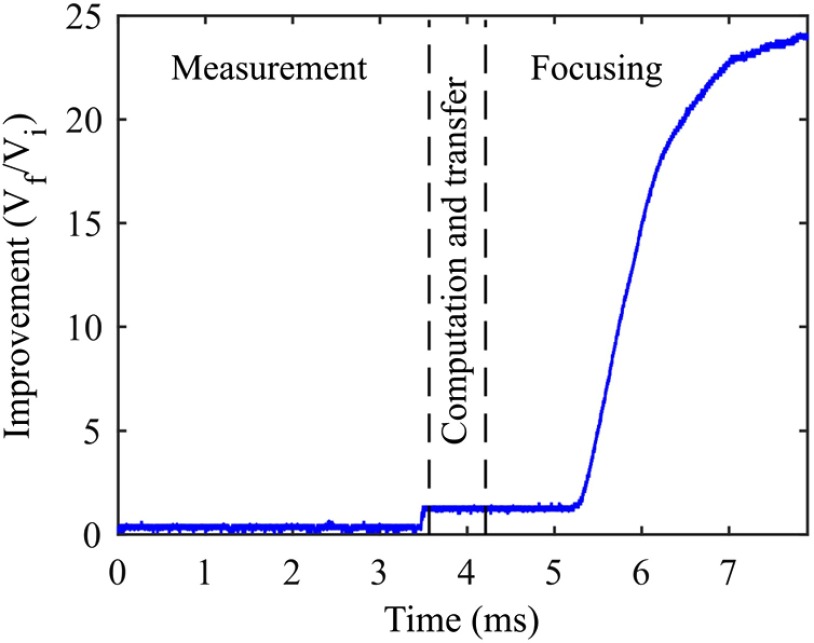 Fig. 4