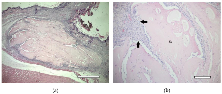 Figure 18