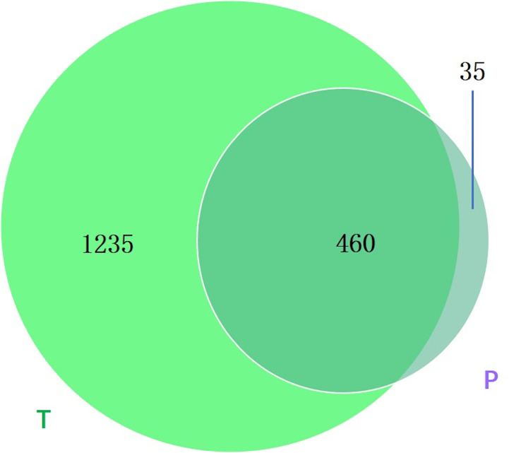 Figure 7