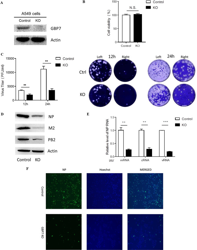 FIG 2