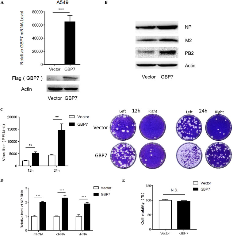 FIG 3