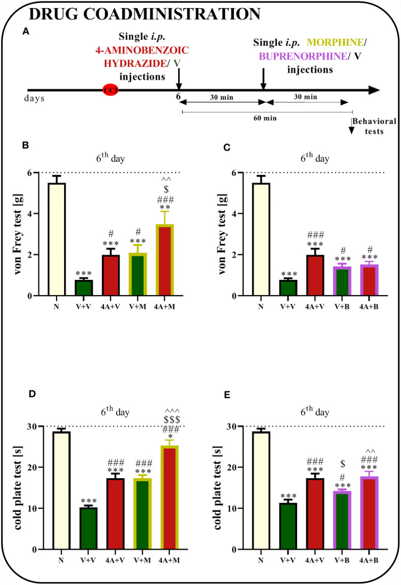 Figure 10