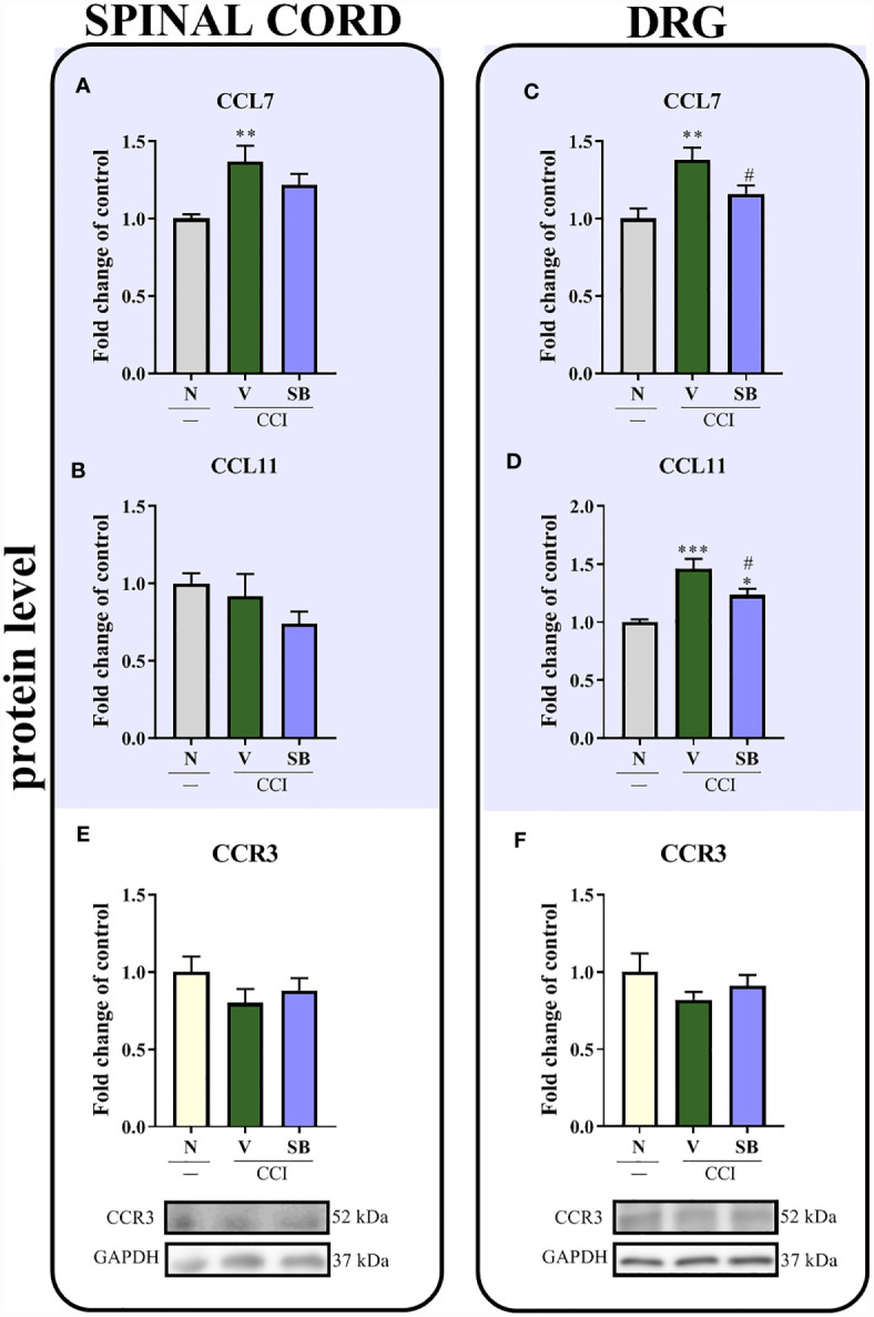 Figure 7