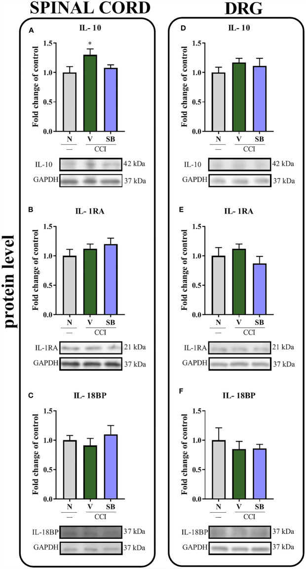 Figure 6