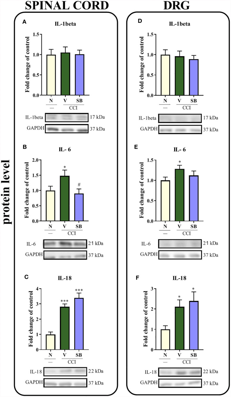 Figure 5