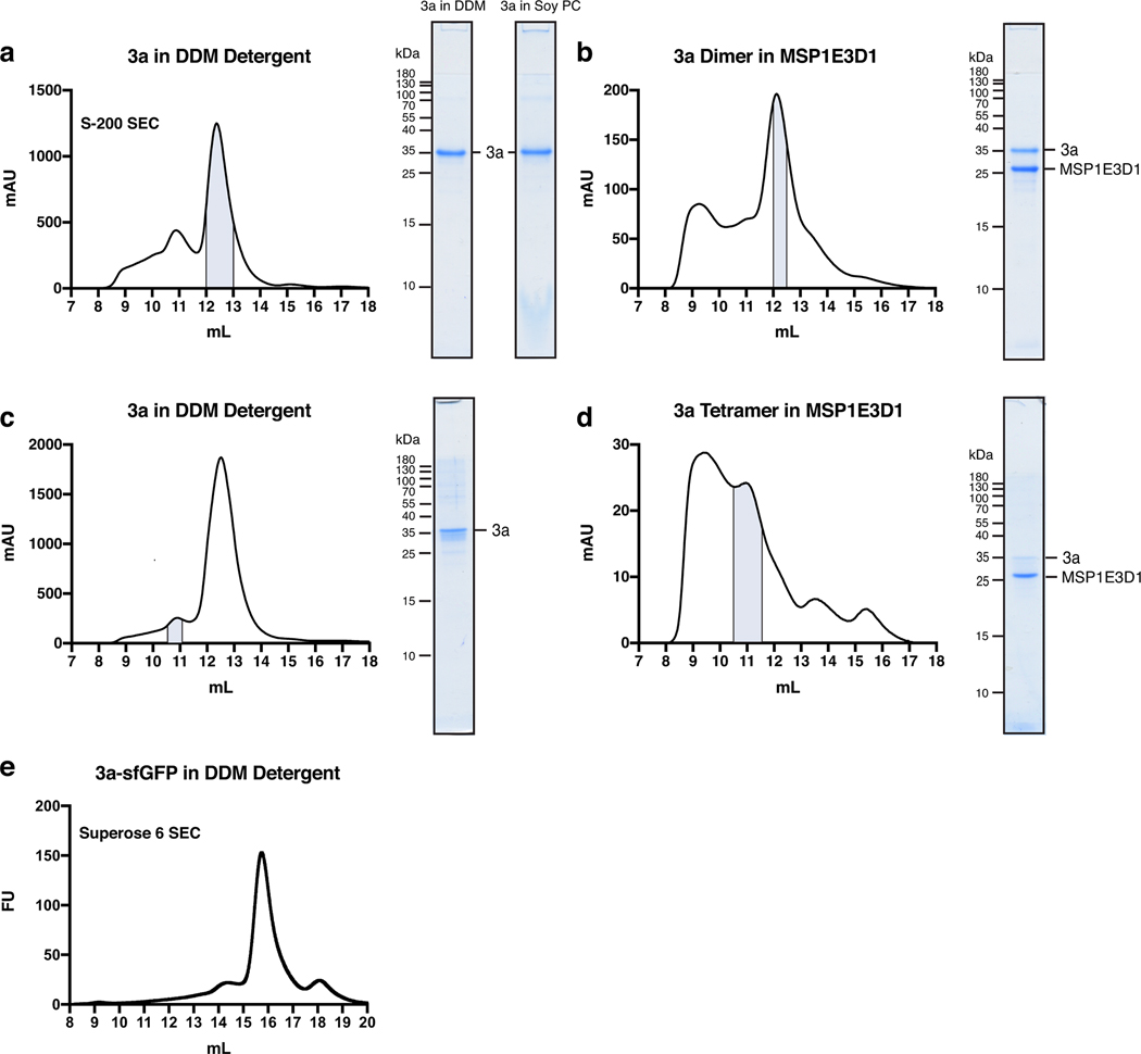 Extended Data Figure 1