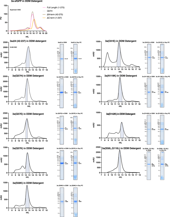 Extended Data Figure 10