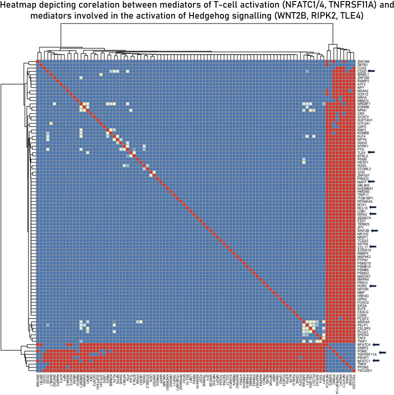 Figure 7