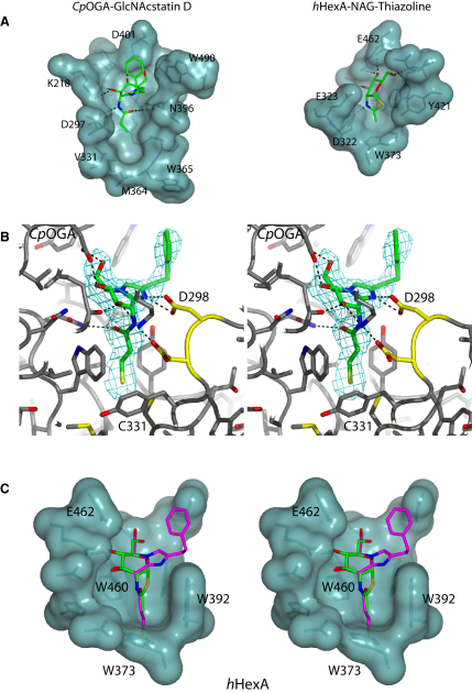 Figure 2