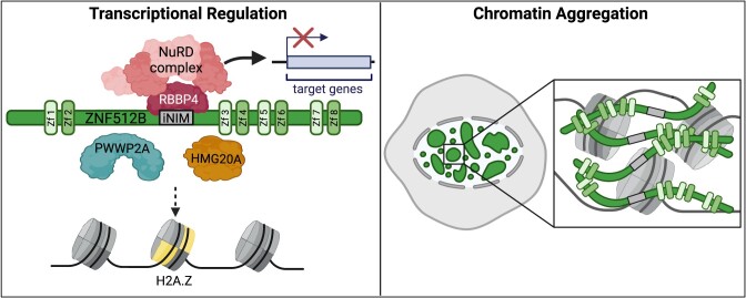 Graphical Abstract