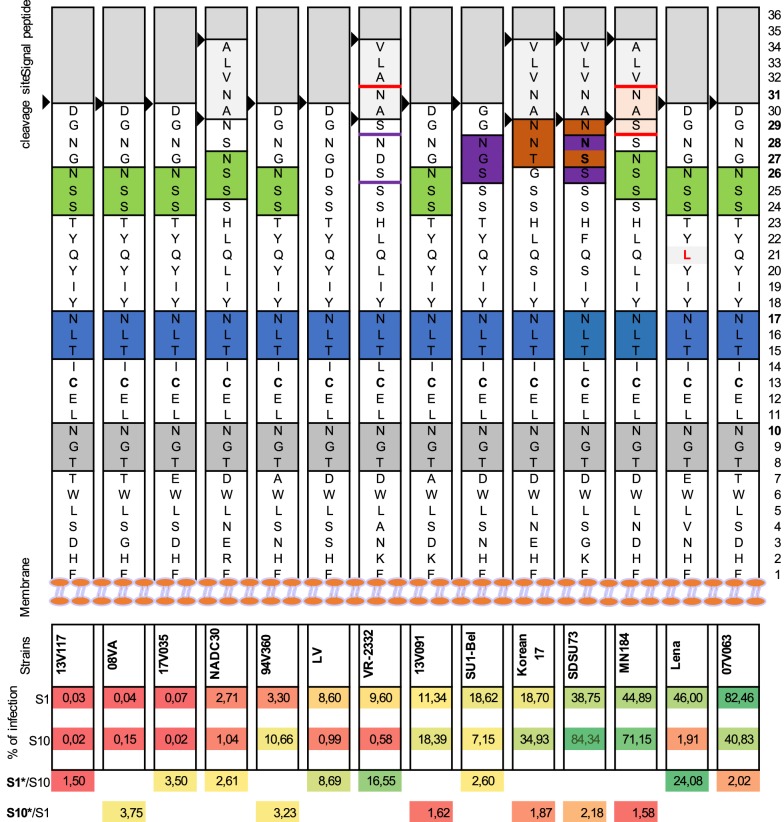 Figure 7