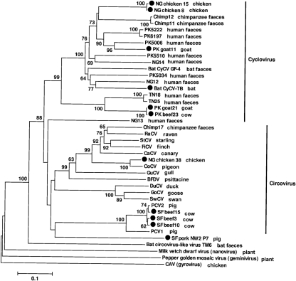 Fig. 2.