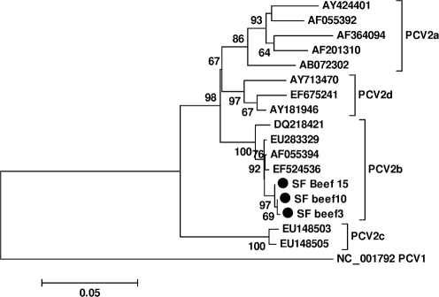 Fig. 3.